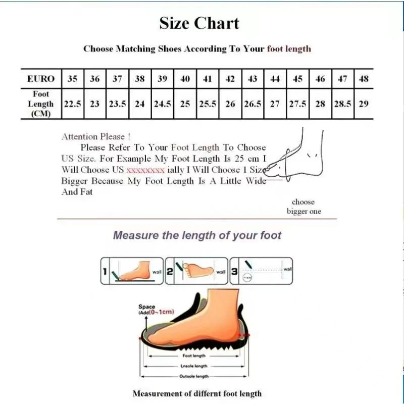 High heeled shoes for women in spring 2025 new coarse heel French fashion Le Fu shoes for women