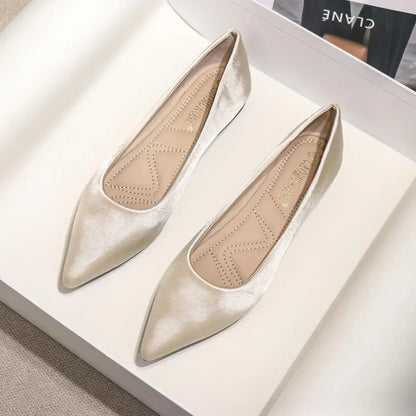 Ladies Footwear Low Heel Elegant Office Non Slip Women&