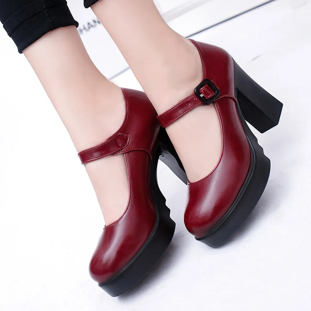Women's Shoes on Heels Women Platform Pumps Spring Summer Shallow Mouth Buckle Strap Shoes Round Toe Shoes for Women 2026