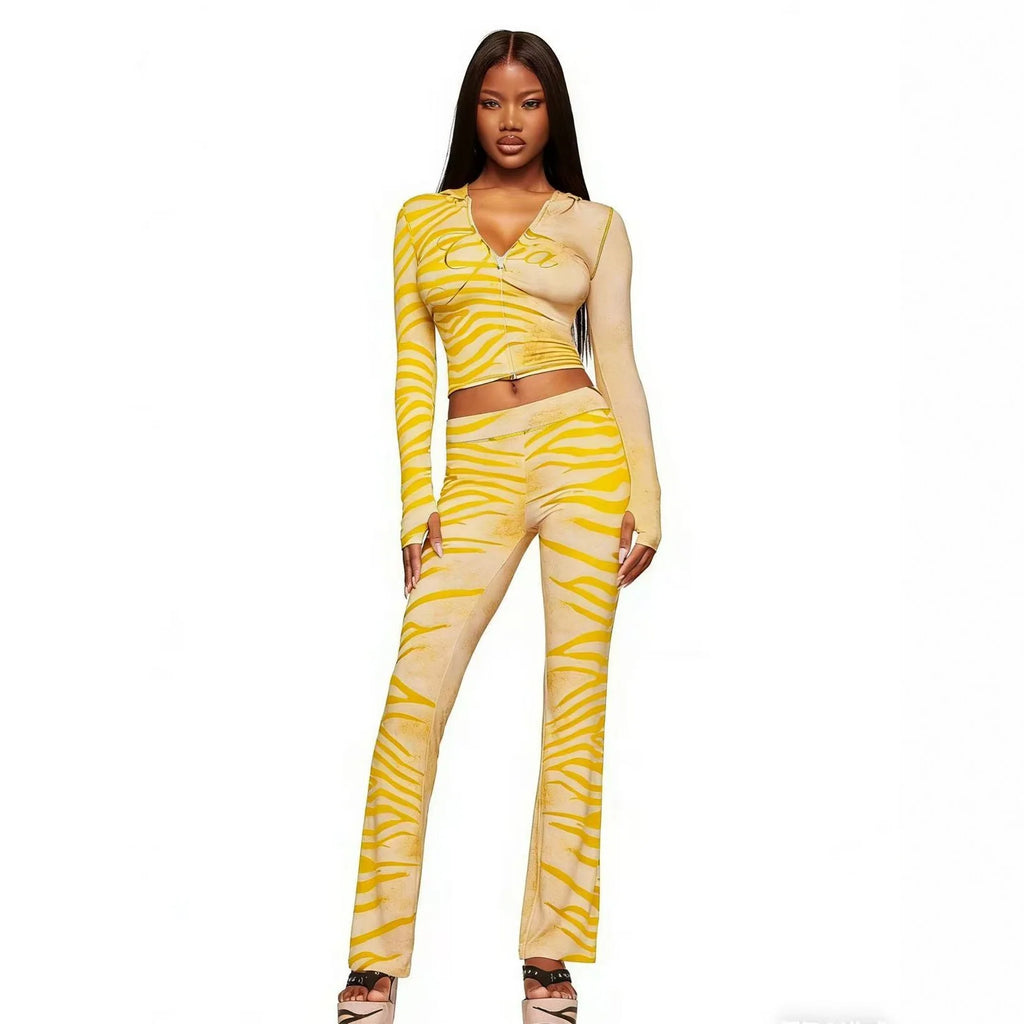 Women's Animal Print 2 Piece Outfit Long Sleeve Crop Top and Matching Pants Set Trendy Bodycon Clubwear Streetwear Fashion Look
