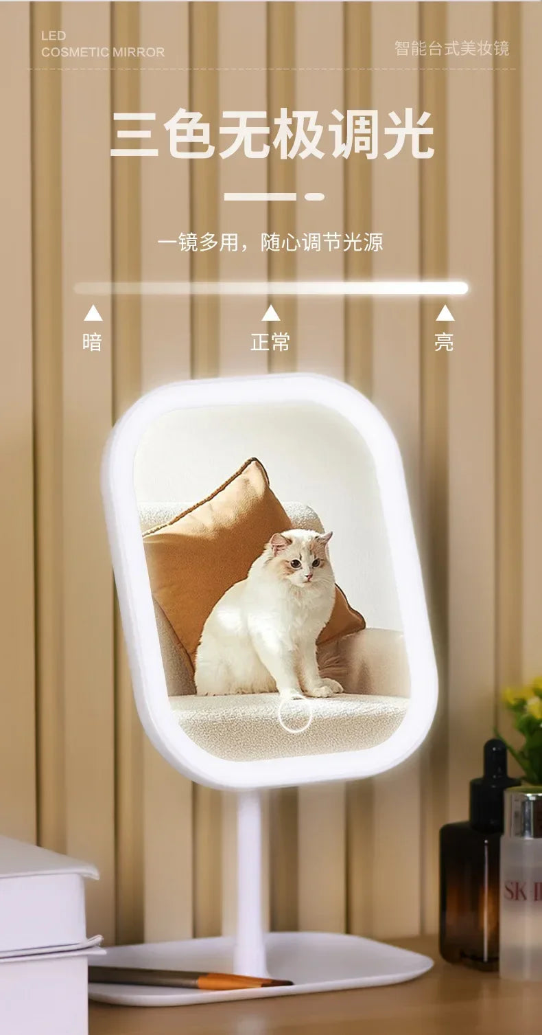1PCS LED Makeup Mirror, Touch Control 3 Light Modes, Rechargeable Portable Vanity Mirror with Stand & Foldable Design